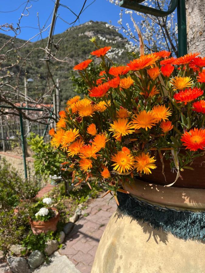 Rocca Di Corno Guest House Finale Ligure Ngoại thất bức ảnh